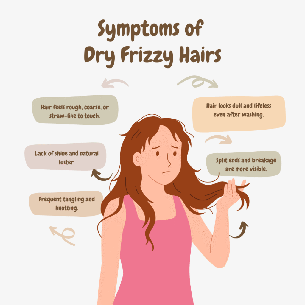 Dry Frizzy Hairs treatment