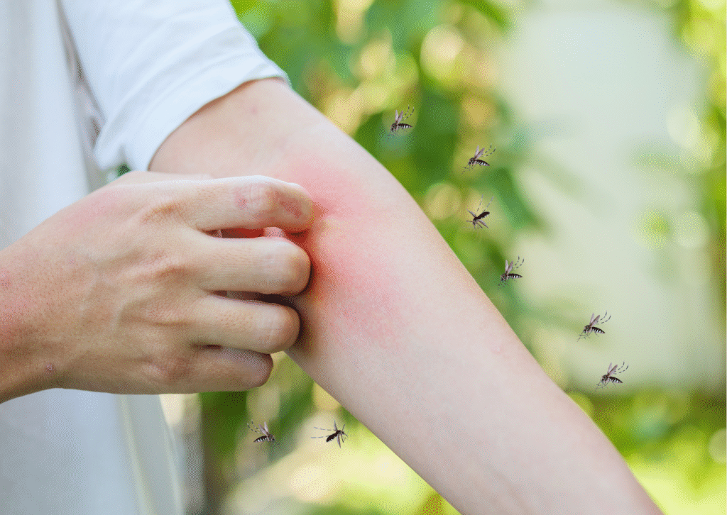 Urban website treatment 46